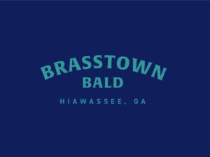brasstown bald