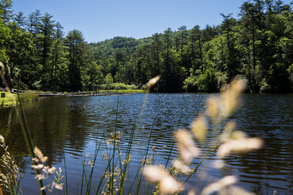 Cliffside Lake