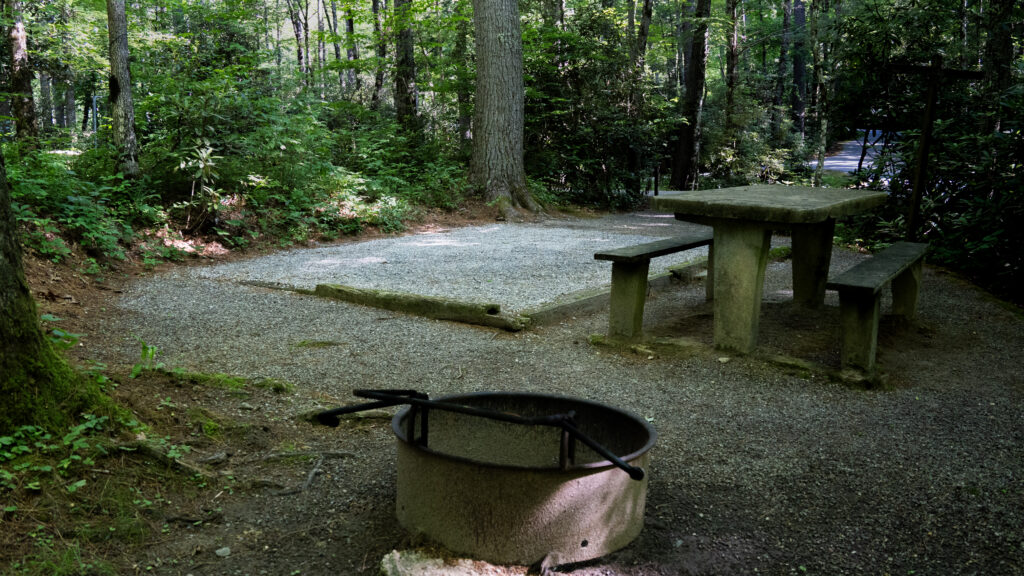 Van Hook Single Camp Space