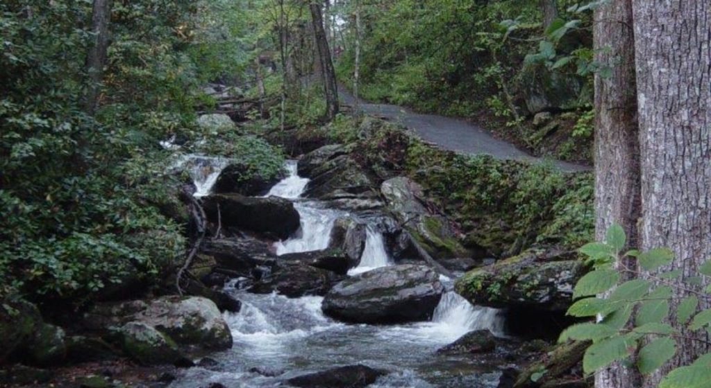 Sendero Smith Creek de Anna Ruby Falls