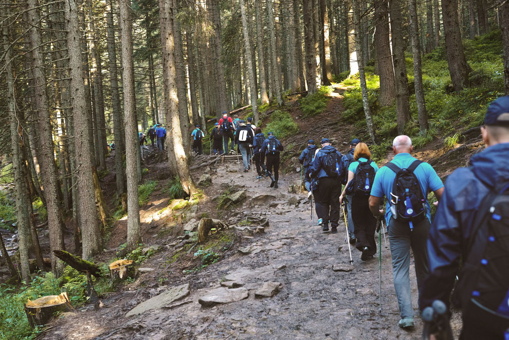 guided hiking tours near me