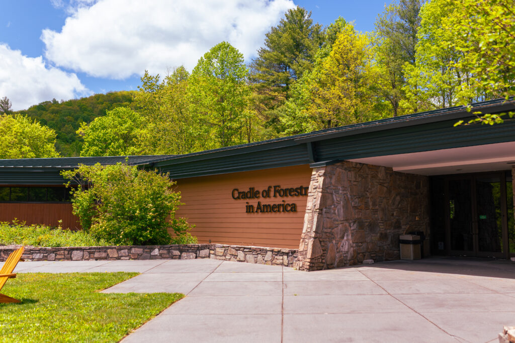 Cradle Front Entrance