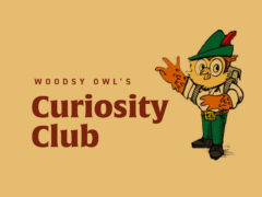 woodsy-owl