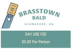 Brasstown Bald Day Use Ticket