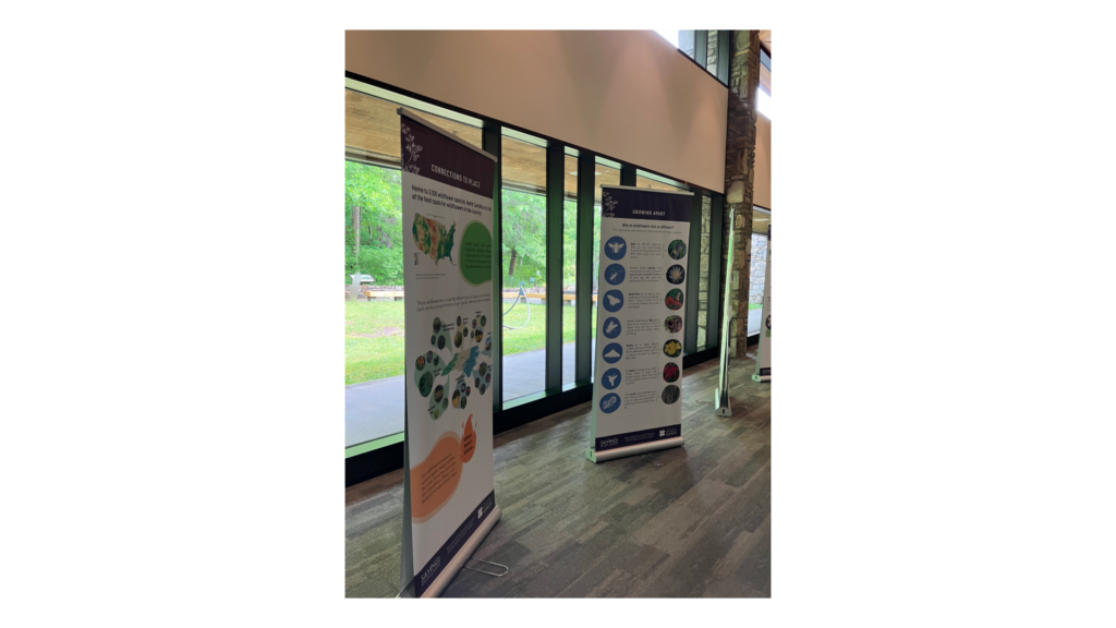 Cradle Wildflower Exhibit-2