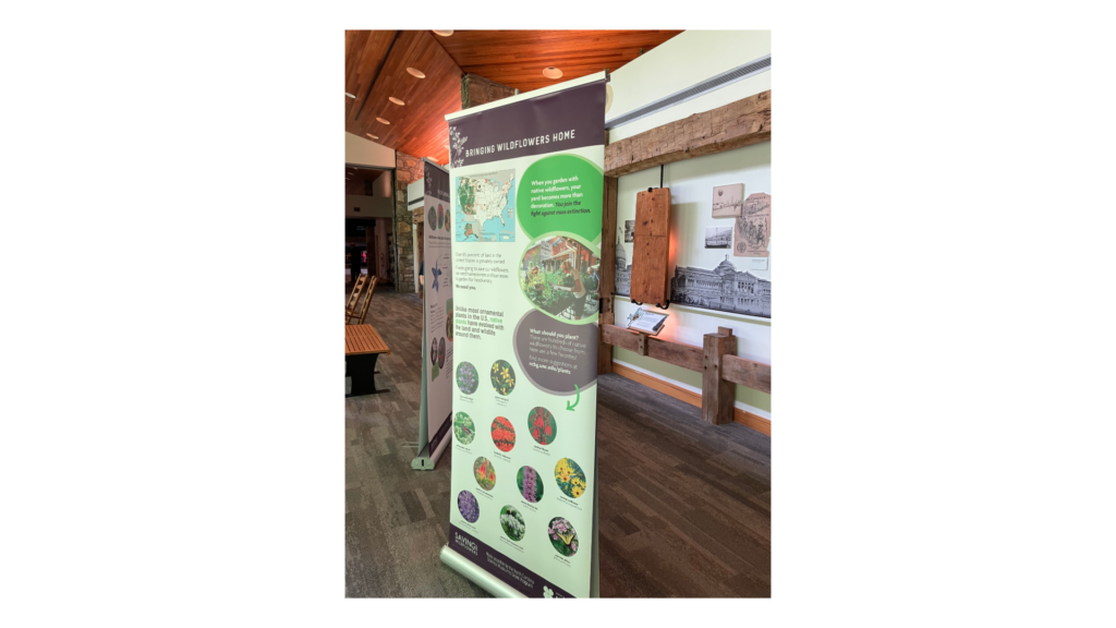 Cradle Wildflower Exhibit-3