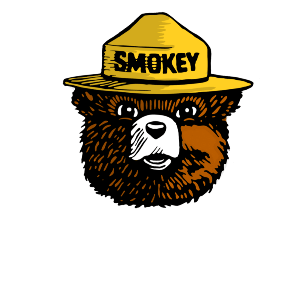 Smokey Bear Top