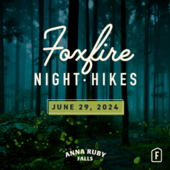 Foxfire Night Hike 2024