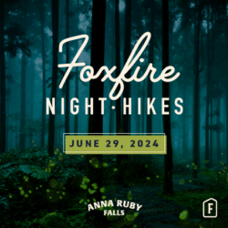 Foxfire Night Hike 2024