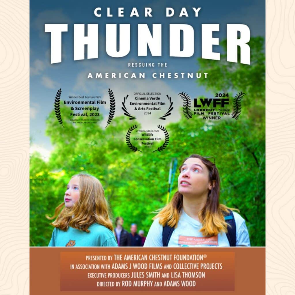 Película Clear Day Thunder en Cradle