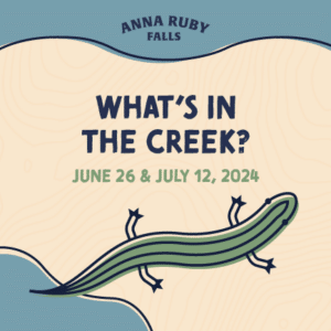 Anna Ruby Falls - FIND Outdoors