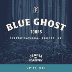 Gira de Luciérnagas Blue Ghost - 22 de mayo de 2025