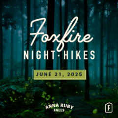 Caminata nocturna por Foxfire - 21 de junio de 2025