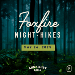 Foxfire Night Hike- May 24, 2025