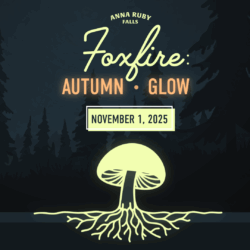 Foxfire Night Hike- November 1, 2025