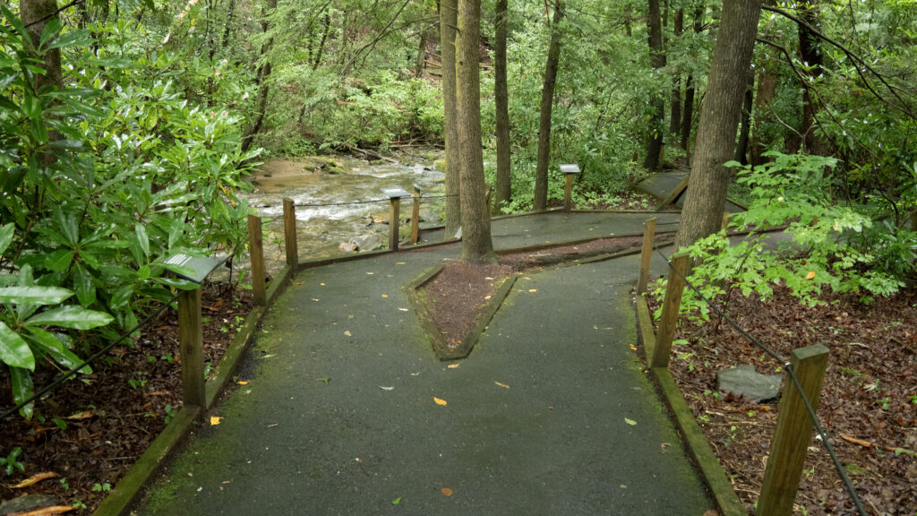 Lions Eye Trail Section