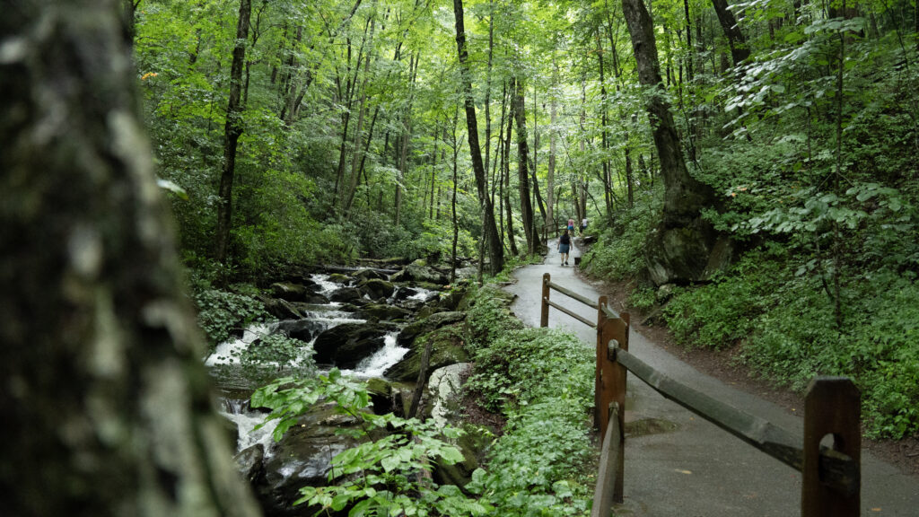 Anna Ruby Main Trail