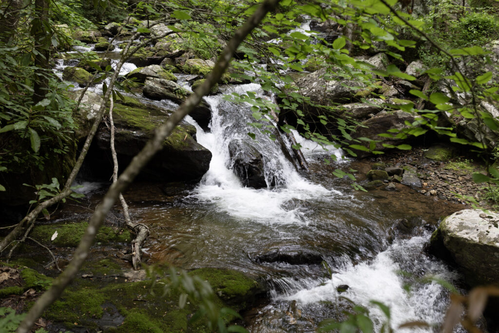 Anna Ruby Smith Creek