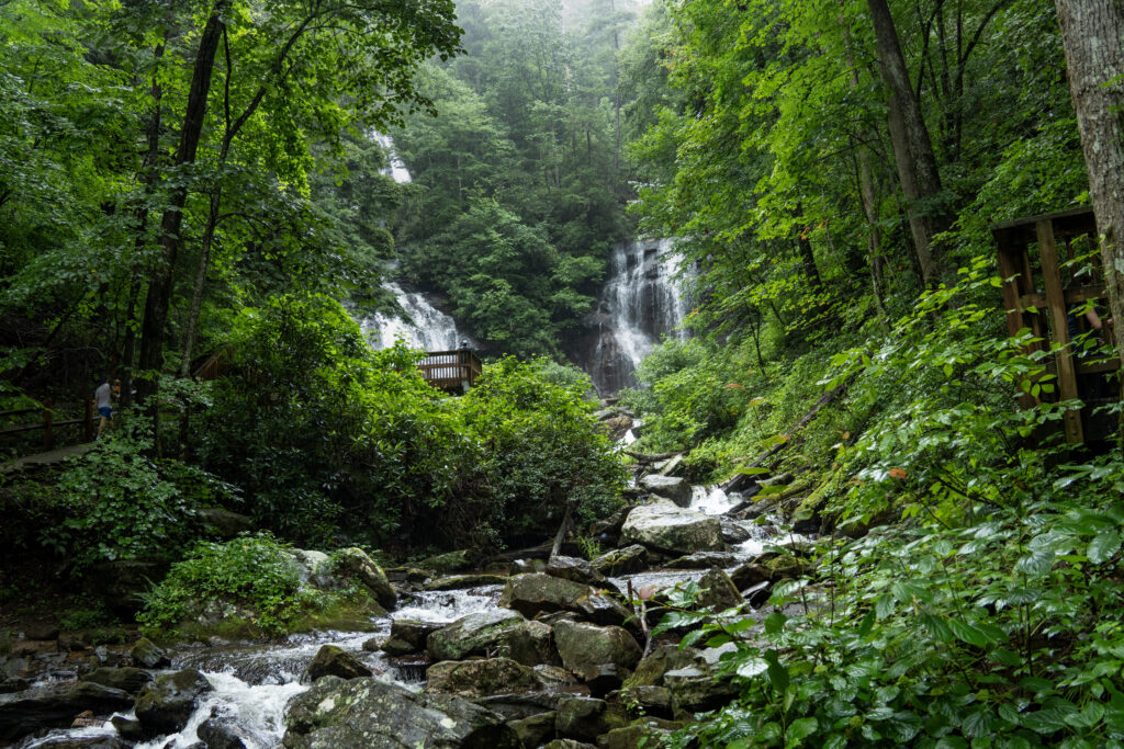 Anna Ruby Falls Distant
