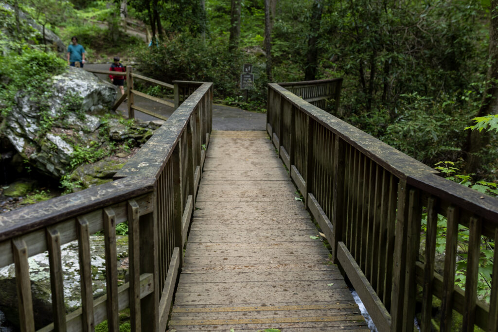 Anna Ruby Walking Bridge