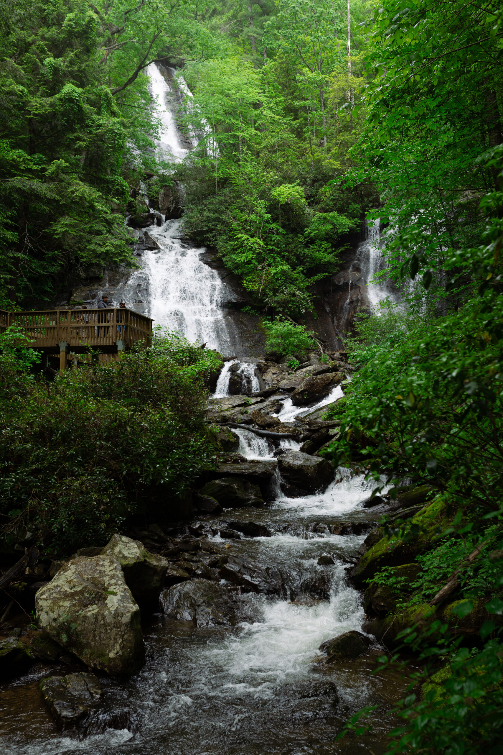 Anna Ruby Falls | Official Site - FIND Outdoors