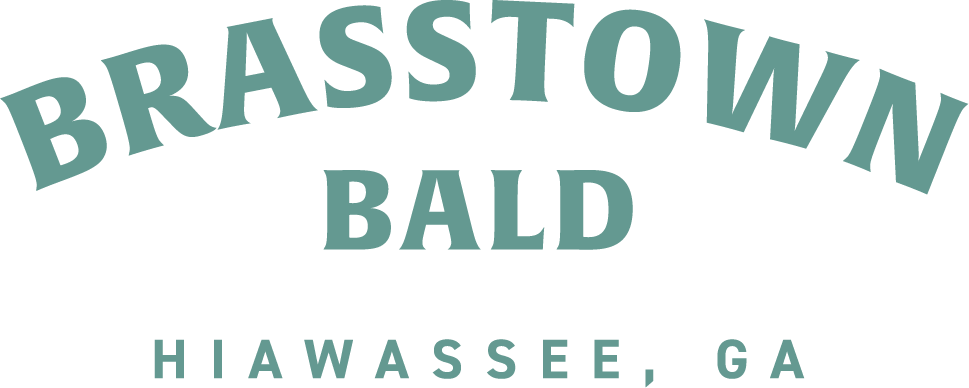 Brasstown Bald