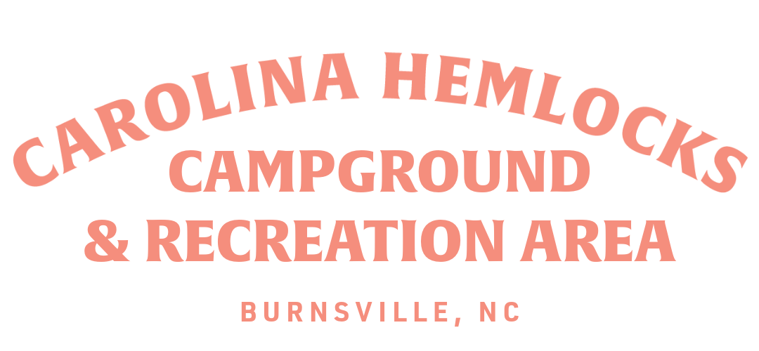 Carolina Hemlocks