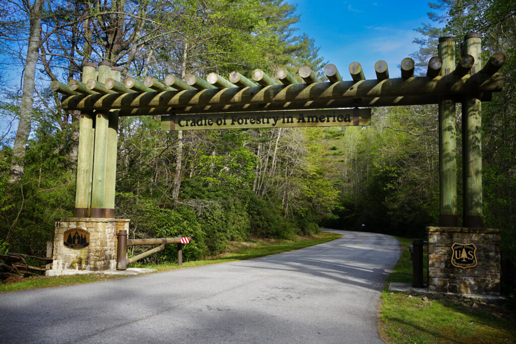 Cradle Entry