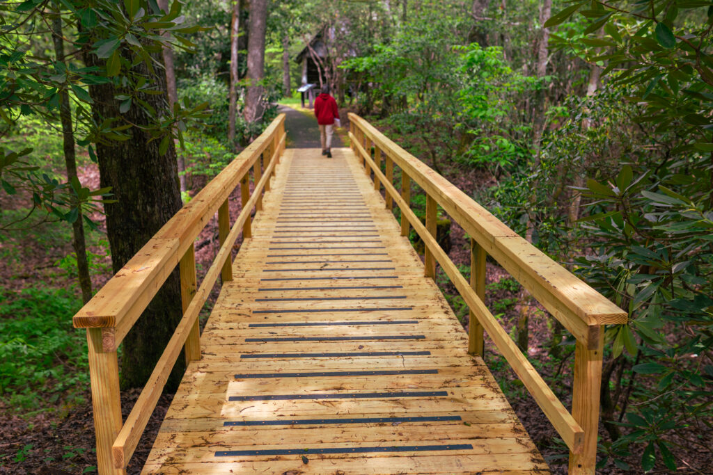 Cradle Trail Bridge