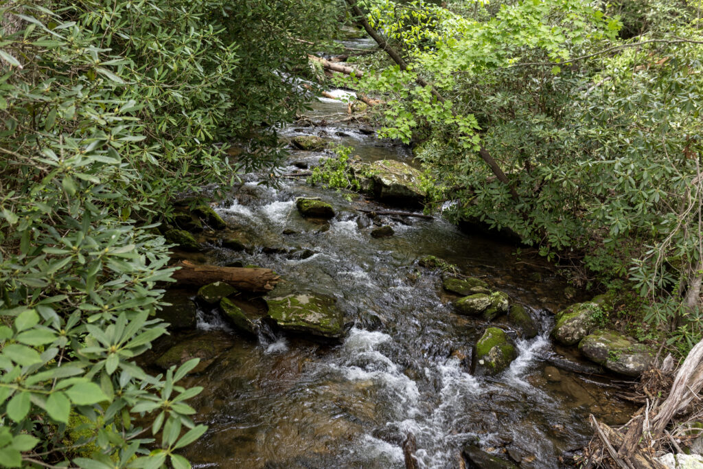 19-IMG_2422