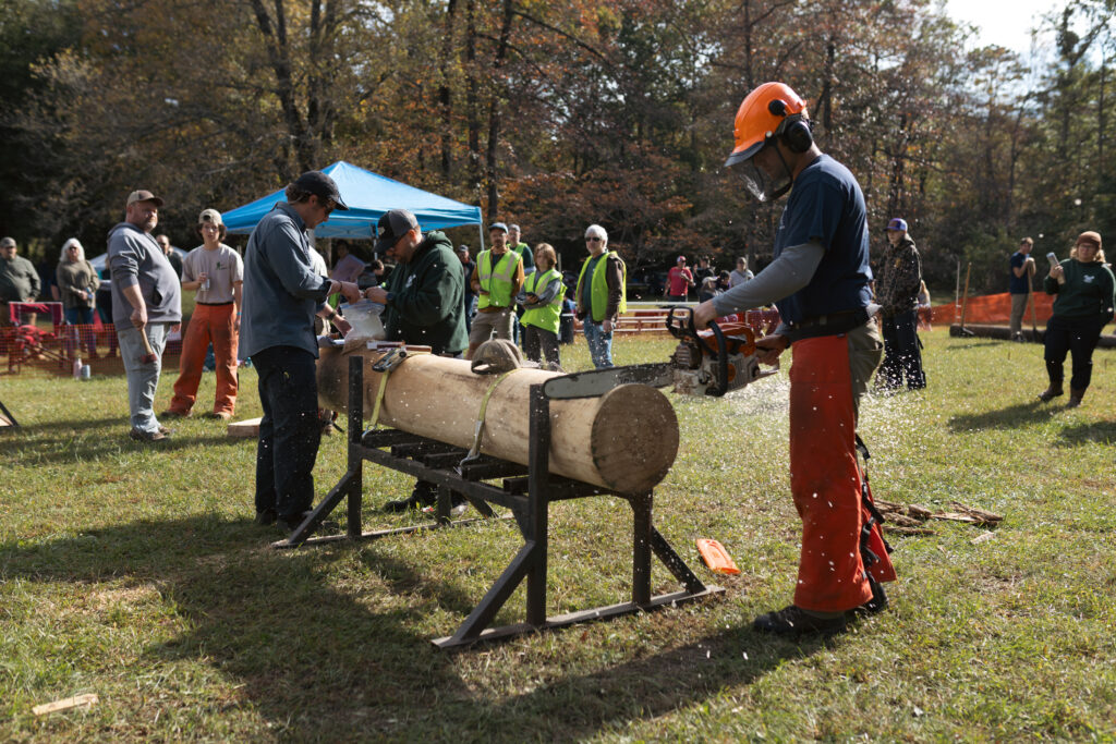 Timberfest Forest Festival Day