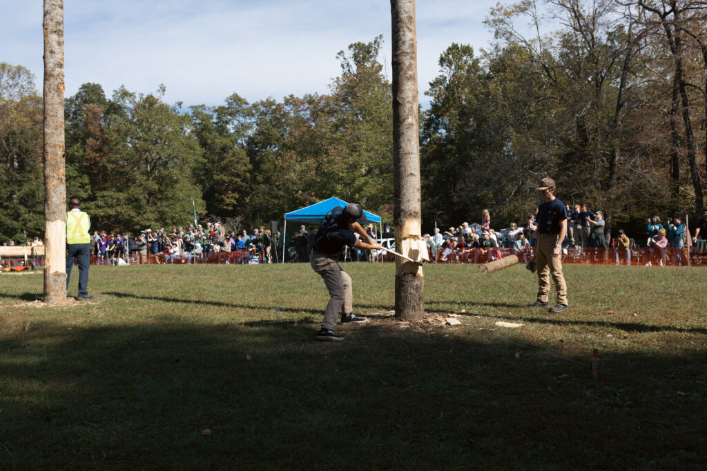 Timberfest Forest Festival Day