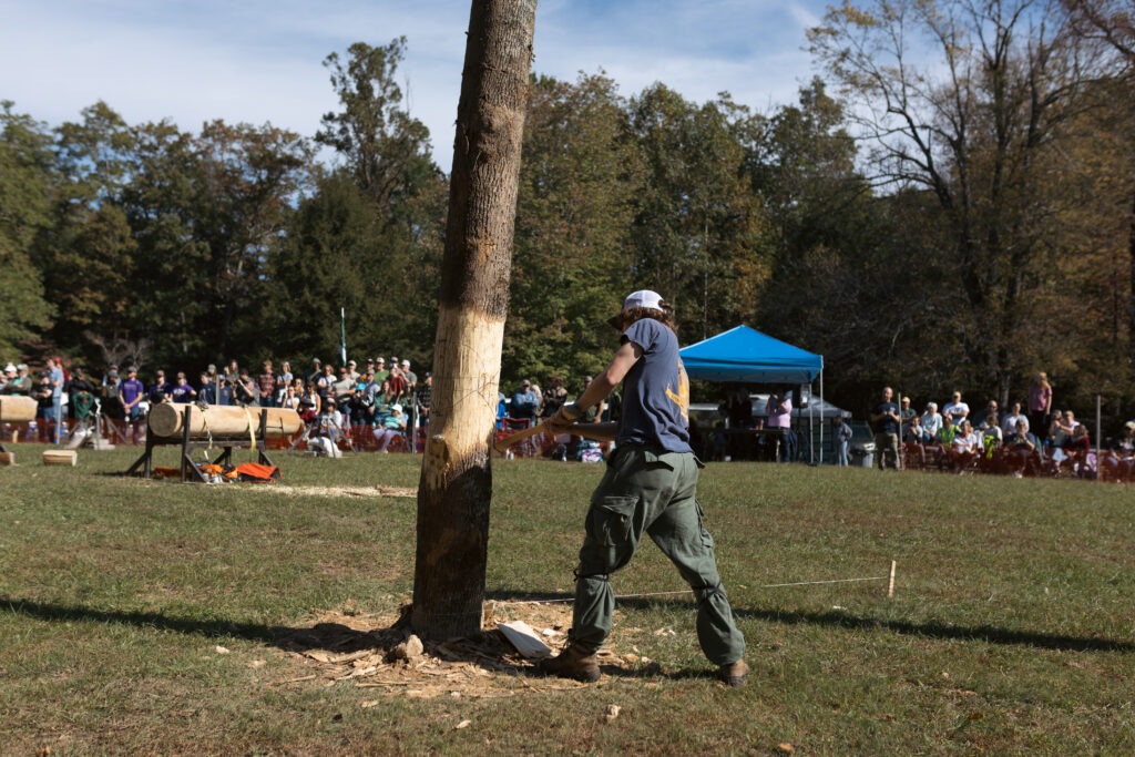 Timberfest Forest Festival Day