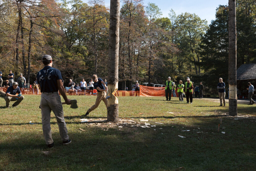 Timberfest Forest Festival Day