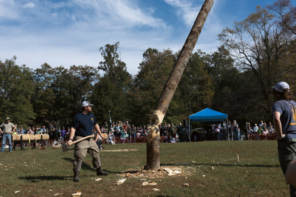 Timberfest Forest Festival Day