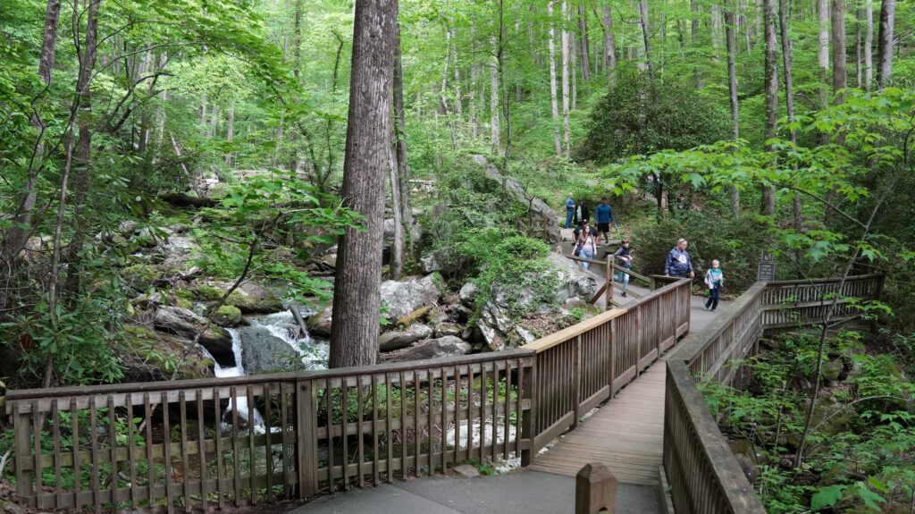 Anna Ruby Falls