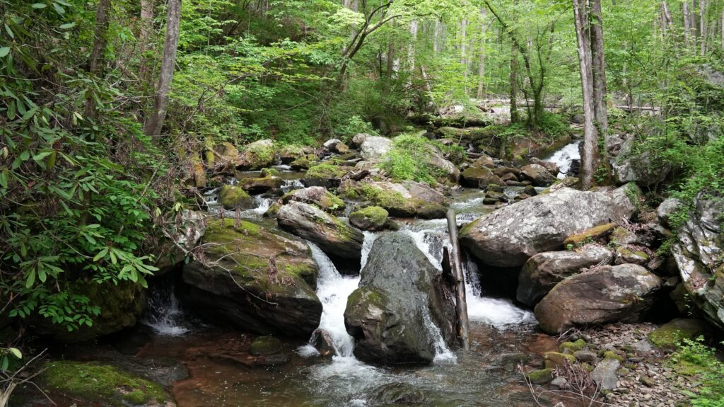 Anna Ruby Falls