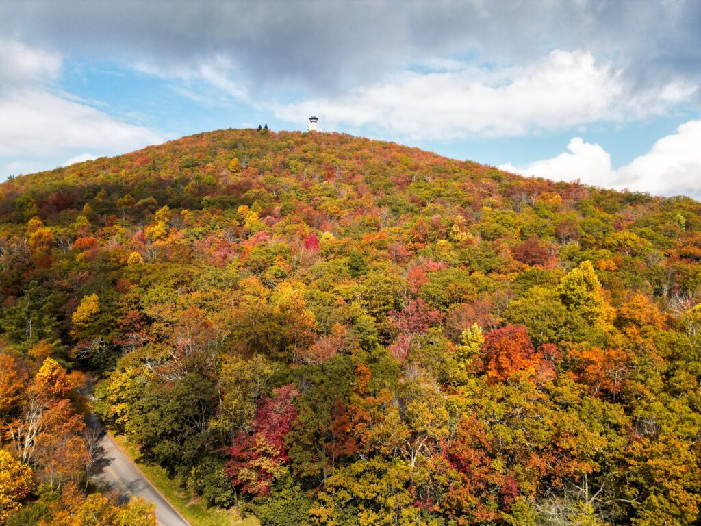 Brasstown Bald