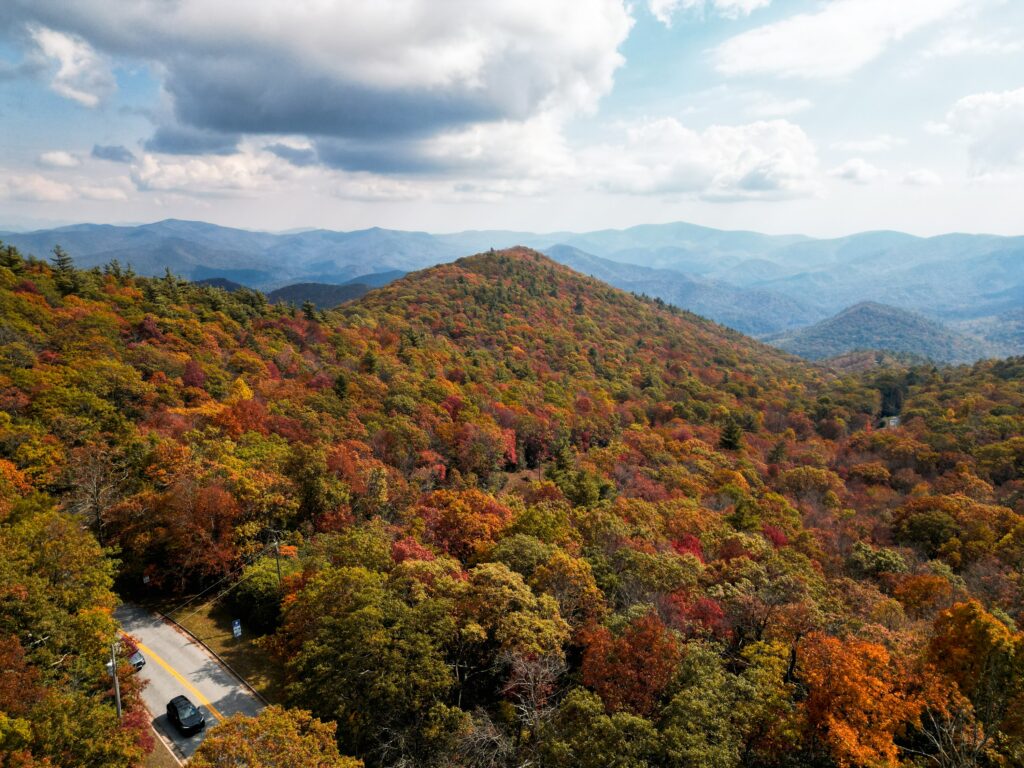 Brasstown Bald