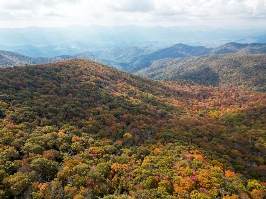 Brasstown Bald