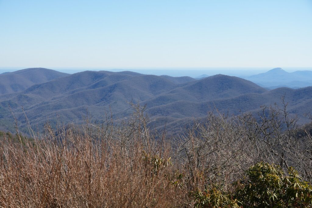 Brasstown Bald