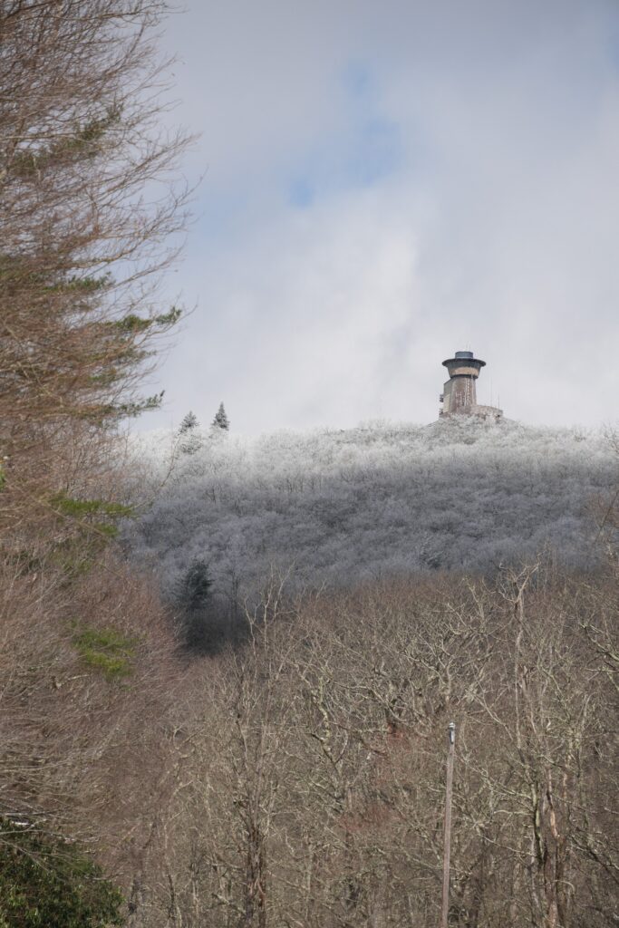 Brasstown Bald