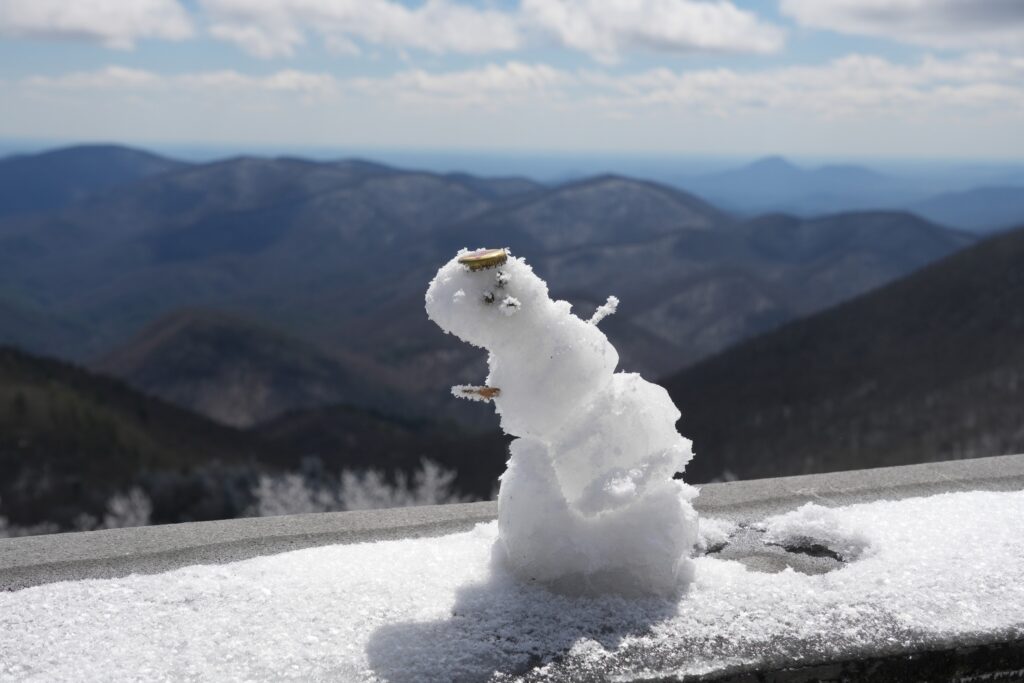Brasstown Bald