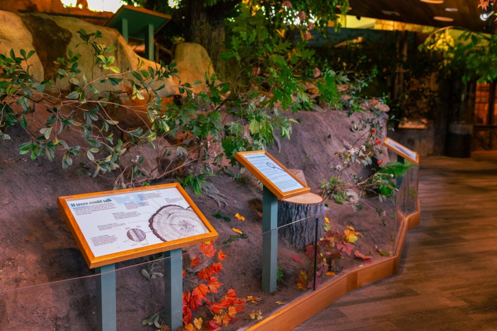 The Cradle of Forestry in America