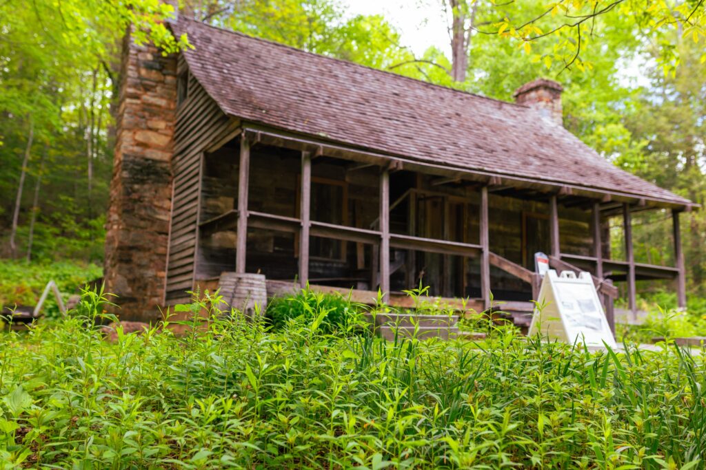 The Cradle of Forestry in America