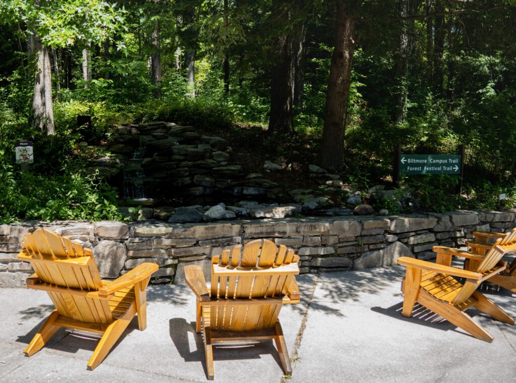The Cradle of Forestry in America