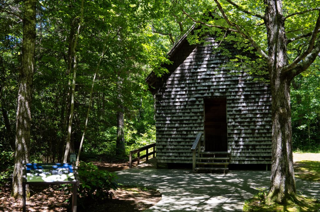 The Cradle of Forestry in America