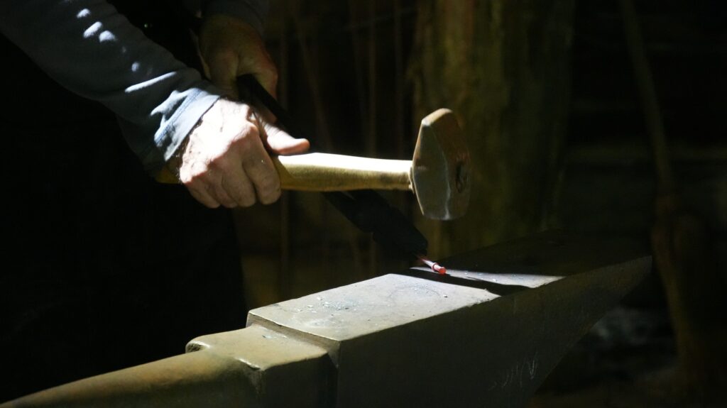 The Cradle of Forestry in America