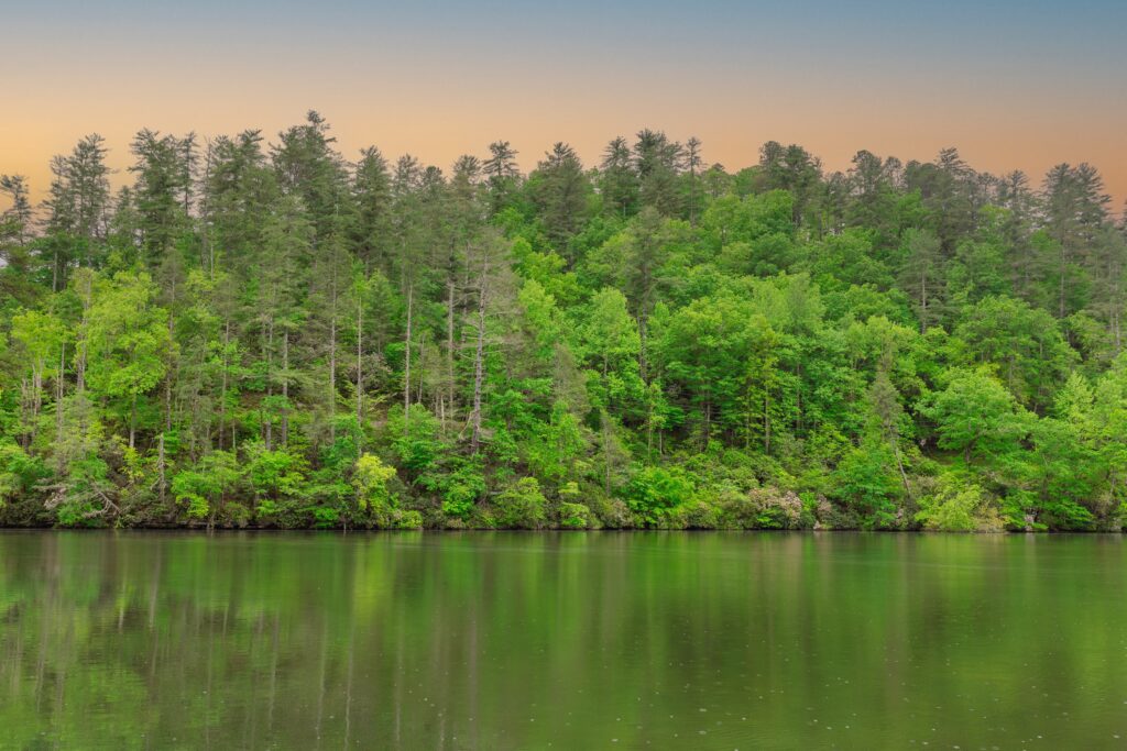 Lake Rabun Beach