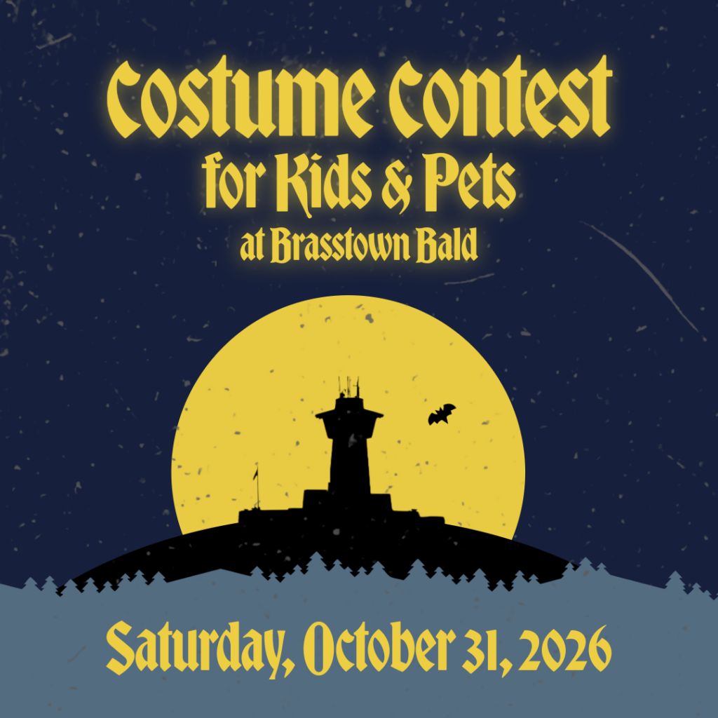 Costume Contest for Kids and Pets at Brasstown Bald flyer, Saturday, October 31, 2026